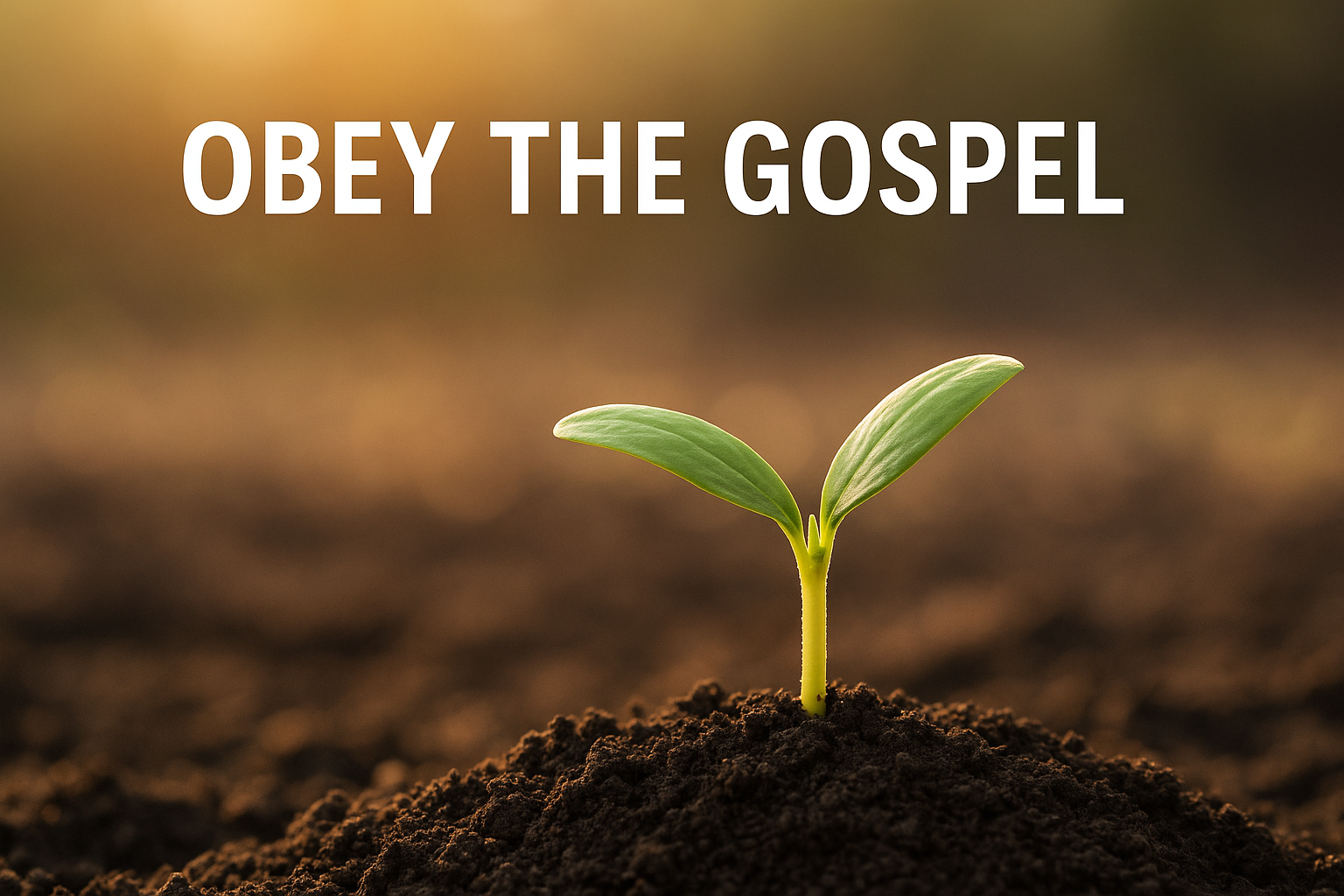What Does It Mean to Obey the Gospel? A Biblical Study